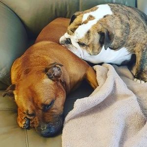 Meet your Posher, Jason